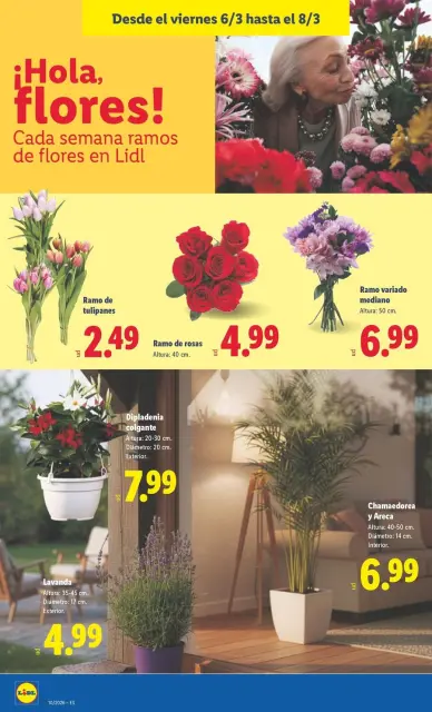 Ofertas de Lidl España de 2 a 8 marzo 2026 ofertas semanales - Página 52
