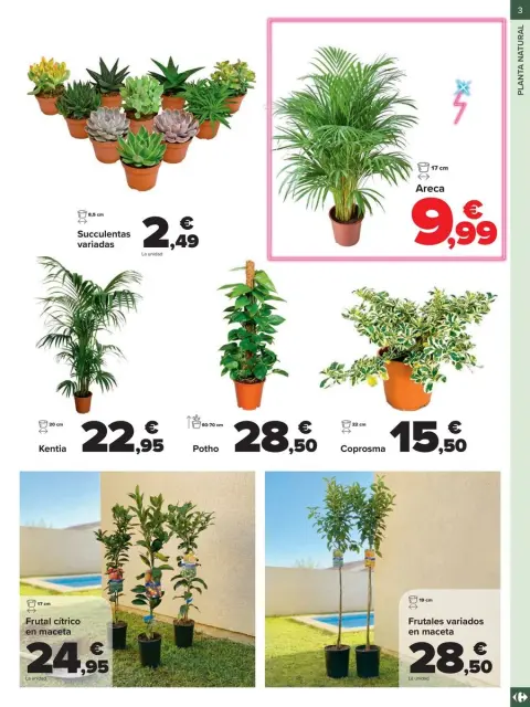 Ofertas de Carrefour España de 19 febrero a 12 marzo 2026 Ofertas Jardín - Página 3
