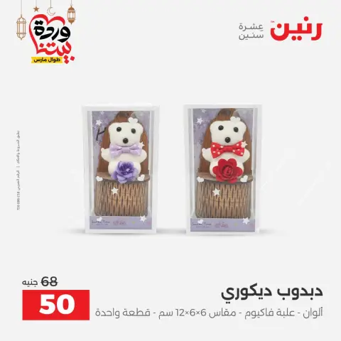 عروض رنين مصر من 1 حتى 2 مارس 2026 عروض قطع الديكور - صفحة 49