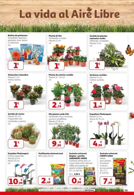 Ofertas de Alcampo España de 26 febrero a 11 marzo 2026 2a unitat -50% - Página 21