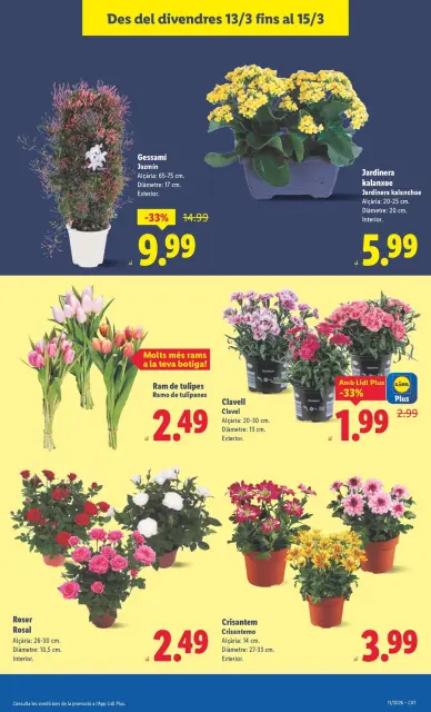 Ofertas de Lidl España de 9 marzo a 15 marzo 2026 ofertas semanales - Página 51