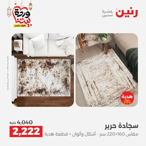 Raneen Egypt offers from 10 March to 11 March 2026 Great discounts on textiles and furniture - Page 22