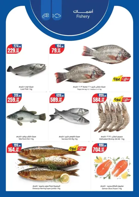 Geant Egypt offers from 13 to 26 March 2026 Eid al-Fitr Offers - Page 4