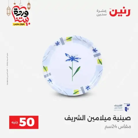 Raneen Egypt offers from 17 to 18 March 2026 The 50 EGP Offer - Page 38