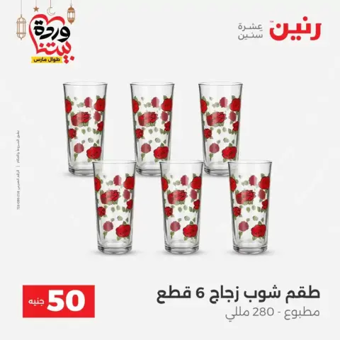 Raneen Egypt offers from 17 to 18 March 2026 The 50 EGP Offer - Page 25