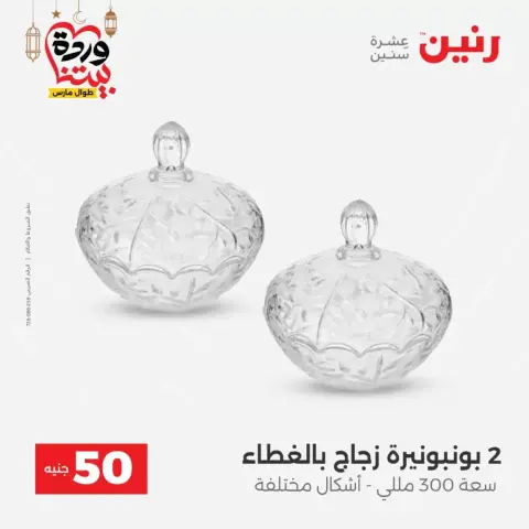 Raneen Egypt offers from 17 to 18 March 2026 The 50 EGP Offer - Page 41