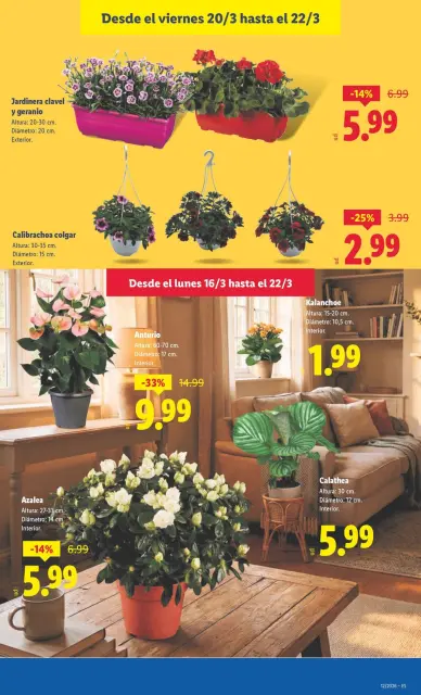 Ofertas de Lidl España de 16 a 22 marzo 2026 ofertas semanales - Página 45