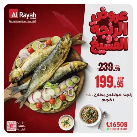 Al Rayah Market Egypt offers from 18 to 26 March 2026 Herring & Fesikh Offers - Page 3