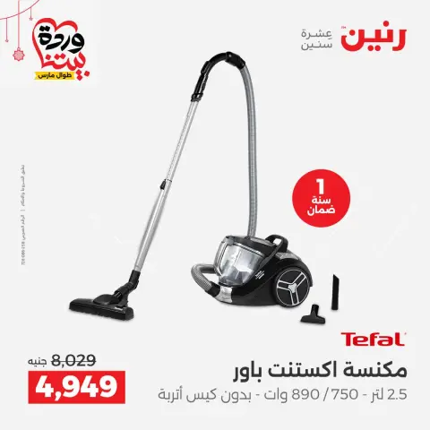 Ofertas de Raneen Egipto de 19 a 21 marzo 2026 DIA DE LA MADRE Ofertas - Página 21