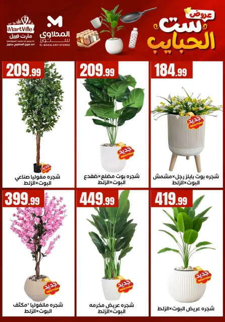 Martville offers in El Matareya from 19 to 25 March 2026 Mother's Day offers - Page 31