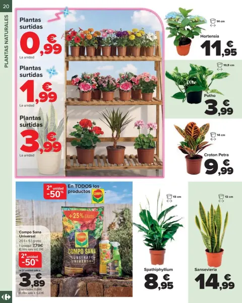 Ofertas de Carrefour España de 13 marzo a 13 abril 2026 JARDIN Ofertas - Página 20
