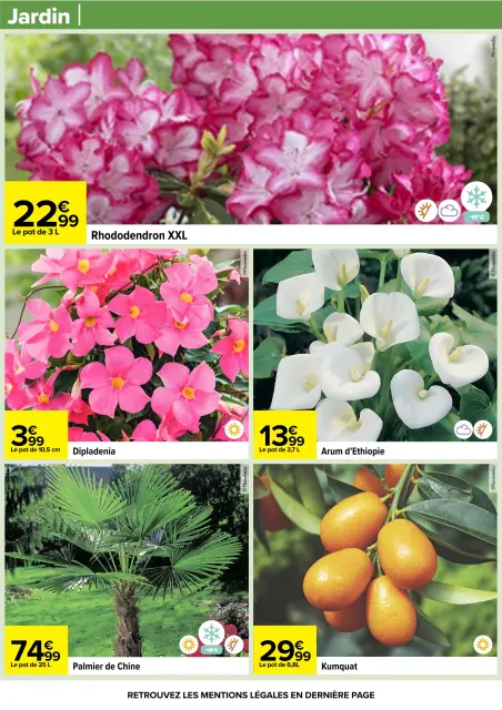 Carrefour France offers from 24 March to 6 April 2026 EASTER FOR ALL TASTES - Page 105