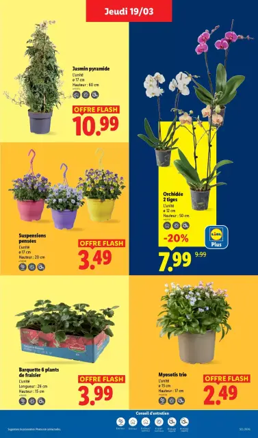 Offres Lidl France de 20 à 25 mars 2026 De Bons Produits pour Pâques, Ça Vaut le Coup - Page 29