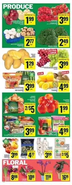 Food Basics Canada offers from 19 to 25 March 2026 Always More for Less - Page 6