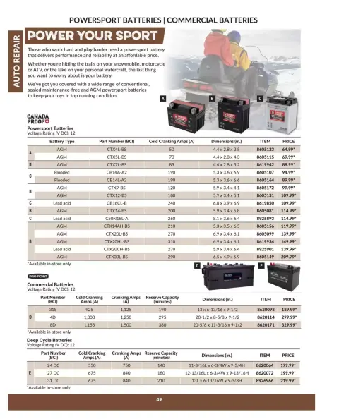 Princess Auto Canada offers from 16 April 2025 to 16 April 2026 AUTO REPAIR DEALS - Page 51