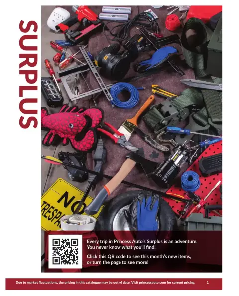 Princess Auto Canada offers from 16 April 2025 to 16 April 2026 SURPLUS DEALS - Page 3