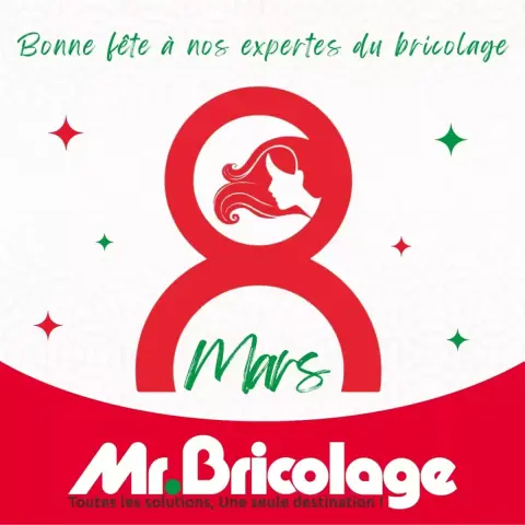 Offres Mr.Bricolage Maroc de 8 à 22 mars 2026 82e anniversaire de la présentation de la Déclaration d'indépendance - Page 4