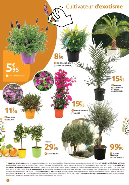 Offres Mr.Bricolage France de 19 mars à 5 avril 2026 SPÉCIAL RÉVEIL DU JARDIN - Page 6