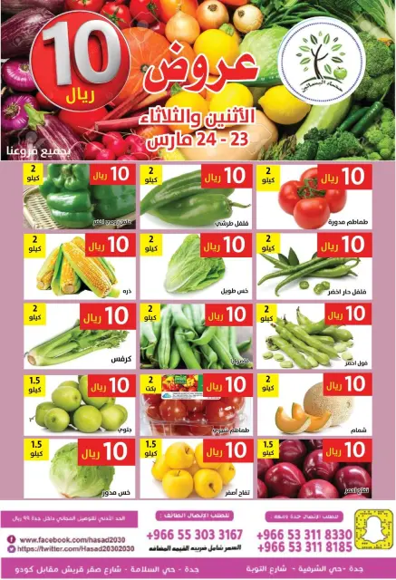 Hasad Albasatin Saudi Arabia offers from 23 to 24 March 2026 SAR 10 Offers - Page 5