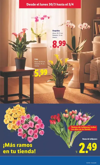 Ofertas de Lidl España de 30 marzo a 5 abril 2026 ofertas semanales - Página 43