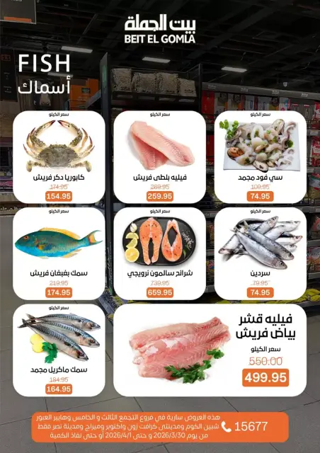 عروض بيت الجملة مصر الاثنين ٣٠ مارس ٢٠٢٦ عرض اليوم الواحد - صفحة 9