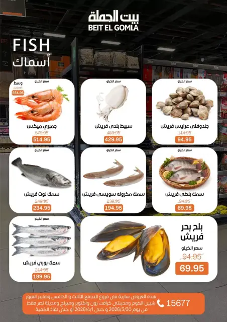 عروض بيت الجملة مصر الاثنين ٣٠ مارس ٢٠٢٦ عرض اليوم الواحد - صفحة 8