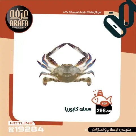 Arafa market offers in Fayoum from 1 to 2 April 2026 Fish Sale - Page 12