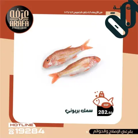 Arafa market offers in Fayoum from 1 to 2 April 2026 Fish Sale - Page 7