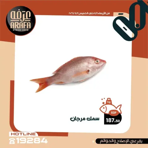 Arafa market offers in Fayoum from 1 to 2 April 2026 Fish Sale - Page 9