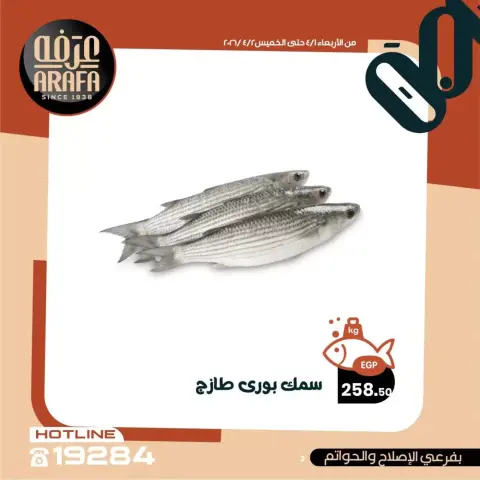 Arafa market offers in Fayoum from 1 to 2 April 2026 Fish Sale - Page 3
