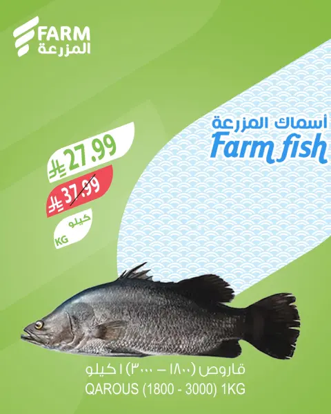 Farm markets Saudi Arabia offers from 2 to 4 April 2026 Fresh offers - Page 2