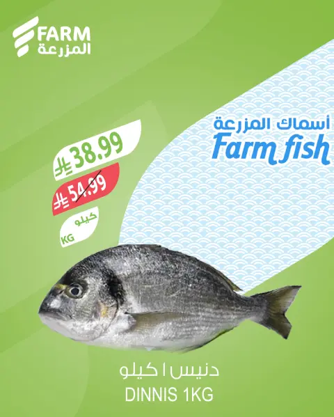 Farm markets Saudi Arabia offers from 2 to 4 April 2026 Fresh offers - Page 4