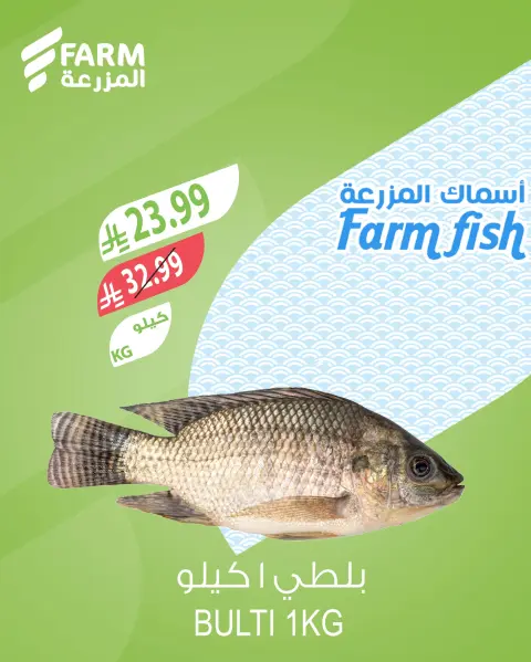 Farm markets Saudi Arabia offers from 2 to 4 April 2026 Fresh offers - Page 7