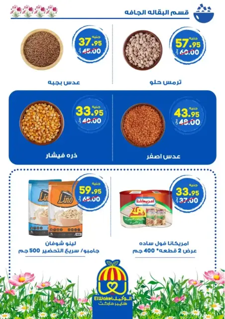 Hyper El Wakel Egypt offers in Menofia from 2 to 15 April 2026 Spring Deals - Page 14