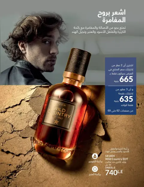Avon Egypt offers from 1 to 30 April 2026 Shine with a special radiance - Page 69