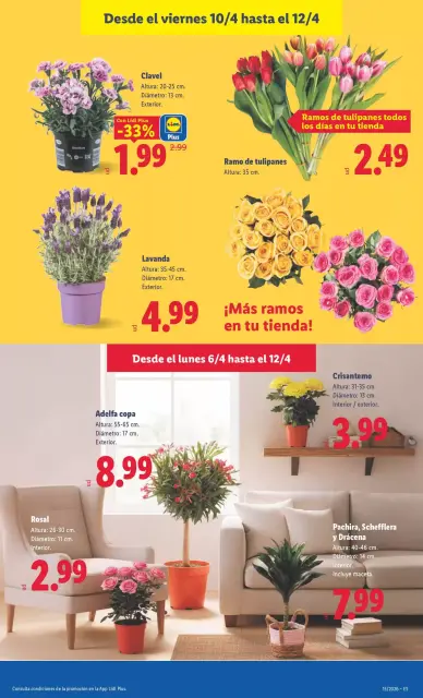 Ofertas de Lidl España de 6 a 12 abril 2026 ofertas semanales - Página 57