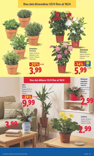Ofertas de Lidl España de 13 a 19 abril 2026 ofertas semanales - Página 47