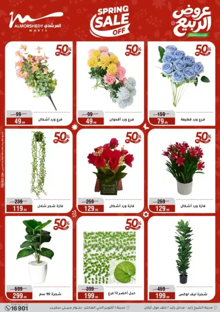 Ofertas de primavera en Al Morshedy, del 9 al 12 abril 2026 - Página 56