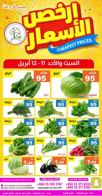 Hasad Albasatin Saudi Arabia offers from 23 to 24 Shawwal 1447 AH (11 – 12 April 2026) Low Price - Page 4