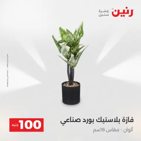 The 100 EGP Offer at Raneen, from 14 to 15 April 2026 - Page 66