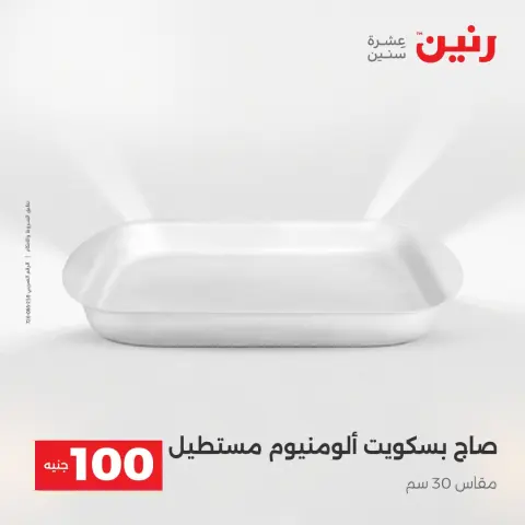 The 100 EGP Offer at Raneen, from 14 to 15 April 2026 - Page 11