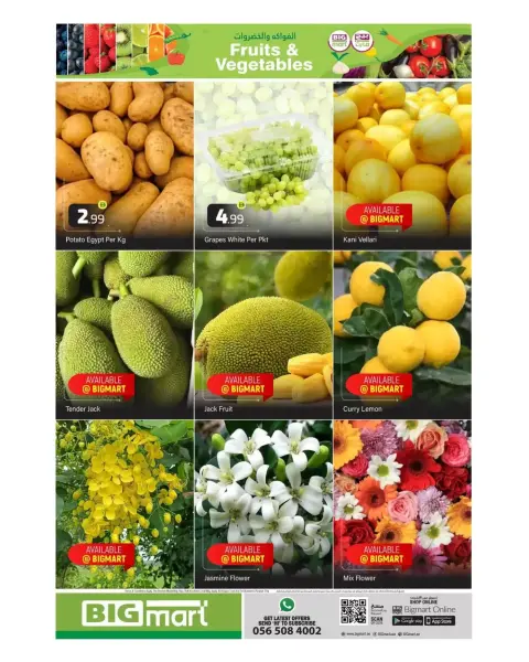BIGmart UAE offers in Almsfh, Bada Zayed from 14 to 15 April 2026 Happy Vishu Offers - Page 2