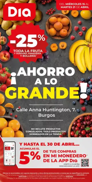 Ofertas de Dia España de 15 a 21 abril 2026 Ahorro a lo grande Ofertas - Página 1