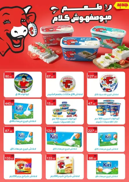Wekalet Elmansoura Egypt offers from 16 April to 5 May 2026 Spring offers - Page 13