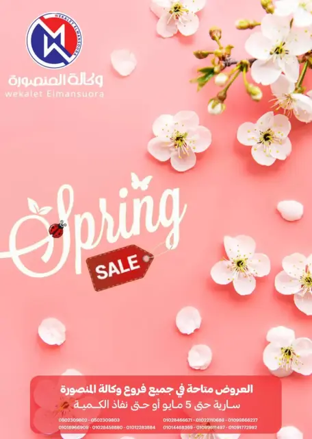 Wekalet Elmansoura Egypt offers from 16 April to 5 May 2026 Spring offers - Page 1