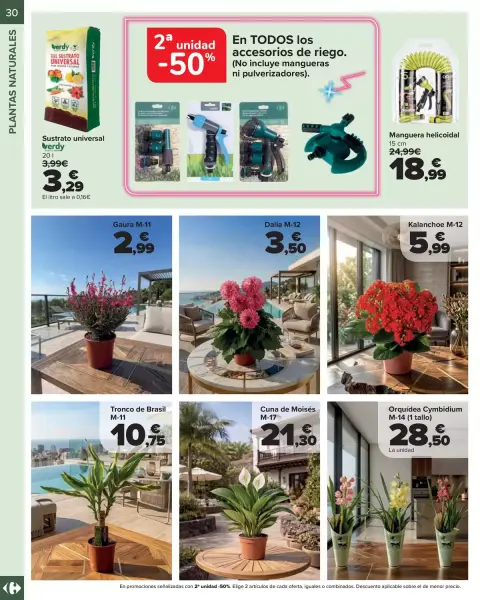 Ofertas de Carrefour España de 14 abril a 14 mayo 2026 Terraza y jardín - Página 30