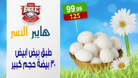 Hyper Al Nisr Egypt offers from 17 to 23 April 2026 Spring Deals - Page 1