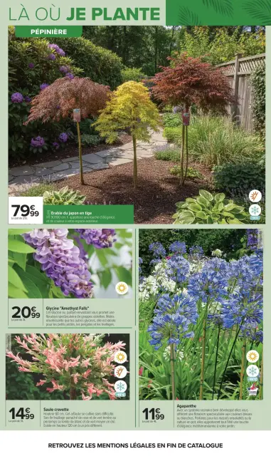 Carrefour France offers from 14 to 27 April 2026 GARDEN PLANTING AND FURNITURE - Page 7
