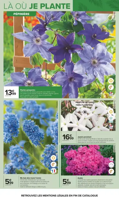 Carrefour France offers from 14 to 27 April 2026 GARDEN PLANTING AND FURNITURE - Page 6
