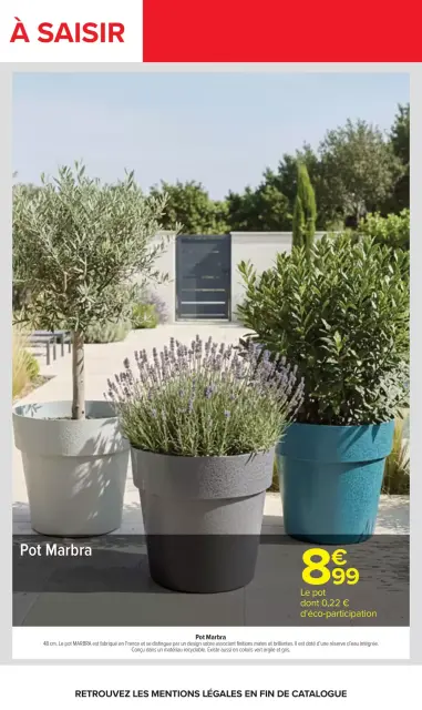 Carrefour France offers from 14 to 27 April 2026 GARDEN PLANTING AND FURNITURE - Page 3